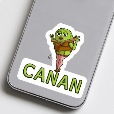 Autocollant Canan Kiwi Notebook Image