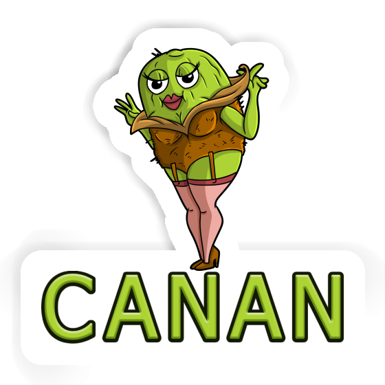 Sticker Canan Kiwi Gift package Image