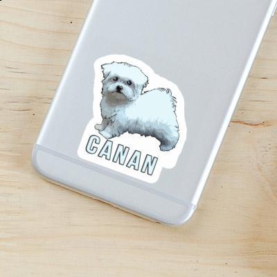 Sticker Maltese Dog Canan Notebook Image