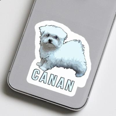 Sticker Maltese Dog Canan Laptop Image