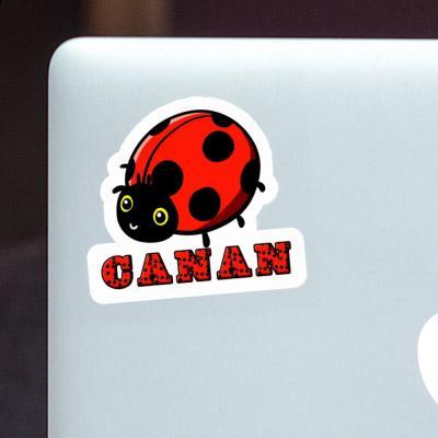 Canan Autocollant Coccinelle Laptop Image