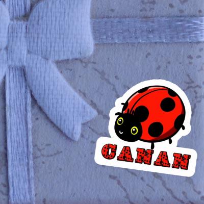 Ladybug Sticker Canan Gift package Image