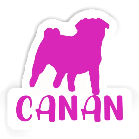 Aufkleber Mops Canan Gift package Image