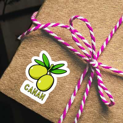 Canan Sticker Olive Image