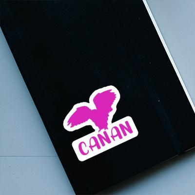 Sticker Canan Owl Laptop Image