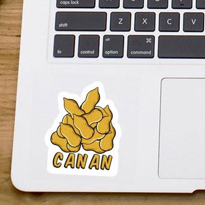 Peanut Sticker Canan Laptop Image