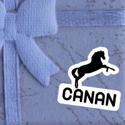 Autocollant Canan Cheval Gift package Image