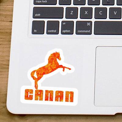 Sticker Canan Pferd Laptop Image