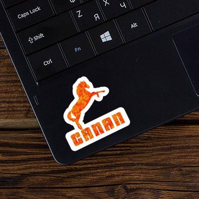 Canan Sticker Horse Gift package Image