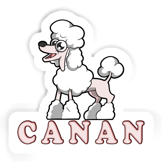 Caniche Autocollant Canan Laptop Image