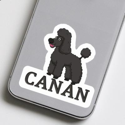 Pudel Sticker Canan Gift package Image