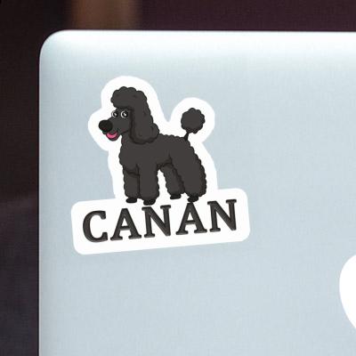 Autocollant Caniche Canan Gift package Image