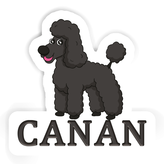 Autocollant Caniche Canan Image