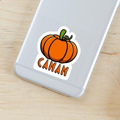 Sticker Pumpkin Canan Laptop Image