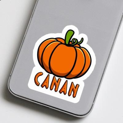 Courge Autocollant Canan Image