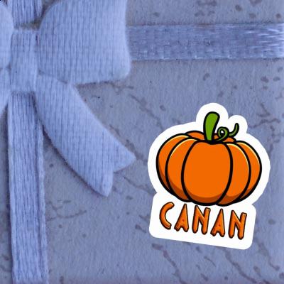 Sticker Pumpkin Canan Gift package Image