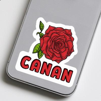 Canan Autocollant Fleur de rose Gift package Image