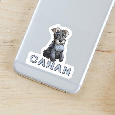 Aufkleber Canan Schnauzer Gift package Image