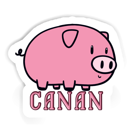 Sticker Pig Canan Laptop Image