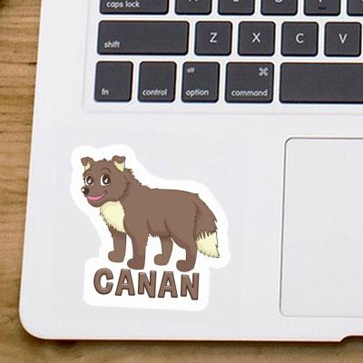 Hirtenhund Sticker Canan Gift package Image