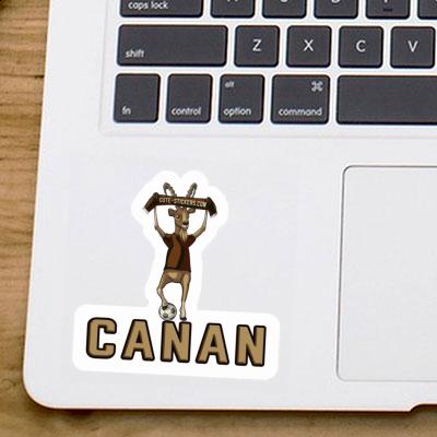 Sticker Canan Capricorn Laptop Image