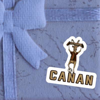 Sticker Canan Capricorn Notebook Image