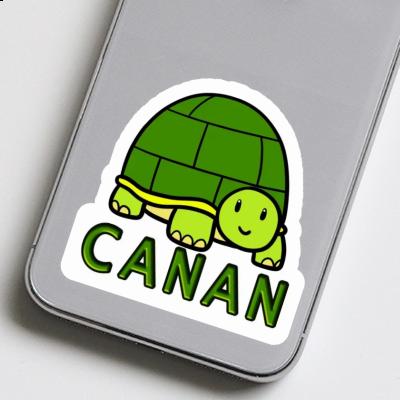 Autocollant Tortue Canan Image