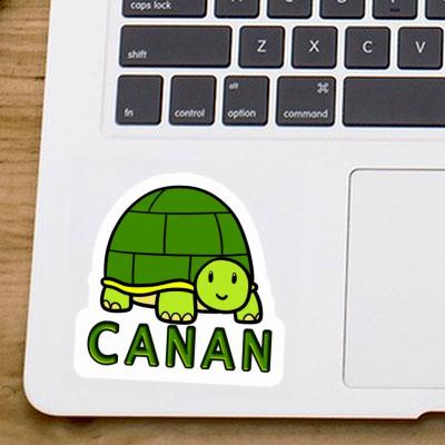 Autocollant Tortue Canan Laptop Image