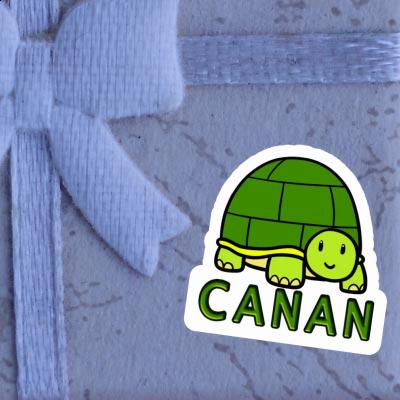 Sticker Turtle Canan Gift package Image