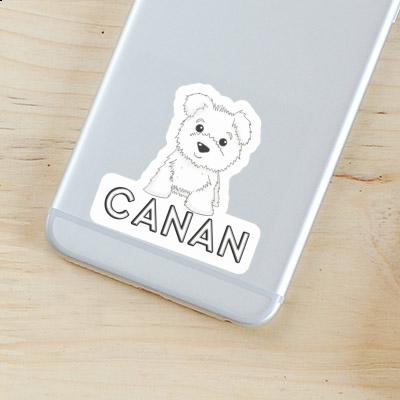 Sticker Canan Terrier Gift package Image