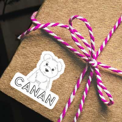 Sticker Canan Terrier Image