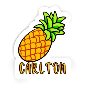 Carlton Sticker Pineapple Image