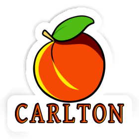 Sticker Apricot Carlton Image