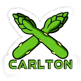 Sticker Carlton Asparagus Image