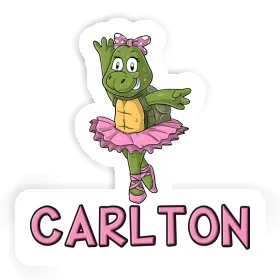 Turtle Sticker Carlton Image