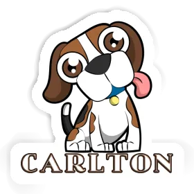 Autocollant Carlton Beagle Image