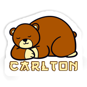 Carlton Sticker Bear Image