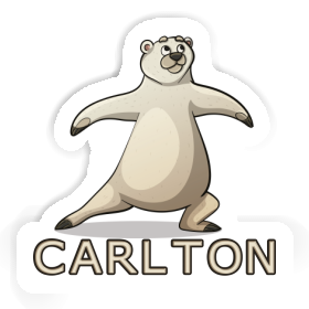 Yoga Bear Sticker Carlton Image