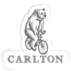 Carlton Sticker Bicycle rider Image