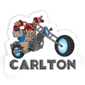 Sticker Biker Carlton Image