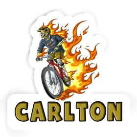 Freeride Biker Sticker Carlton Image