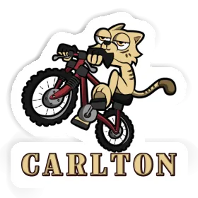 Sticker Bike Cat Carlton Image