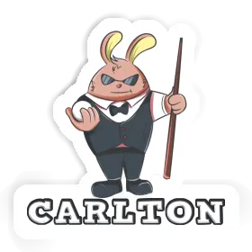 Sticker Carlton Billiards Player Image