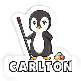 Sticker Carlton Billiards Player Image