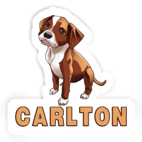 Sticker Carlton Boxer Dog Image