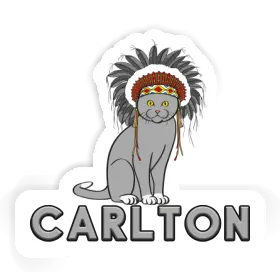 Sticker Indian Cat Carlton Image