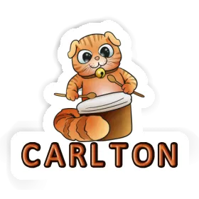 Sticker Drummer Cat Carlton Image