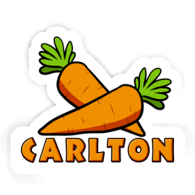 Carrot Sticker Carlton Image