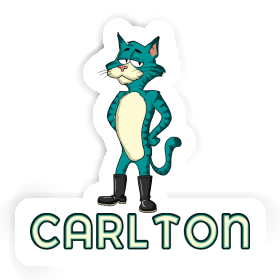 Carlton Sticker Cat Image