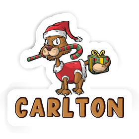 Carlton Sticker Christmas Cat Image